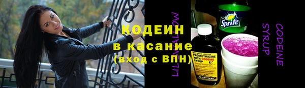 трава Лабытнанги