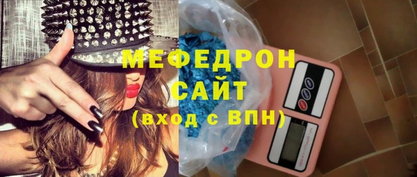 индика Козельск